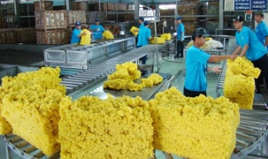 Xuất khẩu cao su 6 tháng đầu năm giảm cả lượng và giá trị