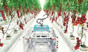 Điều kiện thành lập khu nông nghiệp ứng dụng công nghệ cao