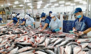 FTA Việt Nam - EFTA: Cơ hội mới cho xuất khẩu thủy sản Việt Nam