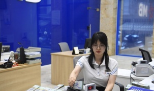 Ngân hàng Nhà nước hút ròng hơn 31.379 tỷ, thanh khoản cải thiện nhanh