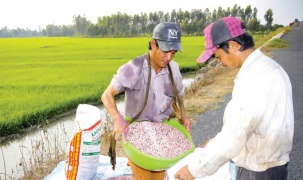 Xuất khẩu phân bón 6 tháng đầu năm đạt gần 1 tỷ USD, tăng hơn gấp đôi về giá trị