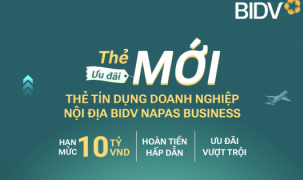 BIDV Napas Business - giải pháp thanh toán hiệu quả của doanh nghiệp
