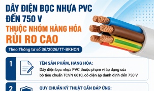Dây điện bọc nhựa PVC đến 750 V là hàng hóa bắt buộc phải công bố hợp quy