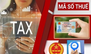 Ngành Thuế tăng tốc chiến dịch 'Làm sạch mã số thuế', rà soát hơn 617.000 doanh nghiệp