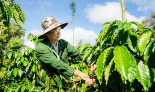Cuộc đua sở hữu dữ liệu vùng trồng