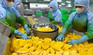 Xuất khẩu nông sản và thực phẩm chế biến: Hóa giải “điểm nghẽn” để tạo bứt phá