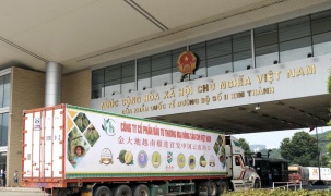 Hải quan ra “lệnh khẩn” thông quan sầu riêng ngay trong ngày