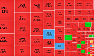Bán tháo đồng loạt, VN-Index “phá đáy”