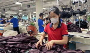 Xuất khẩu sang Hoa Kỳ tăng trưởng mạnh và chiến lược vượt rào cản thương mại