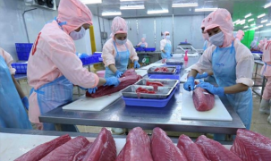 CPTPP thúc đẩy kết nối thương mại và đầu tư trong giai đoạn mới