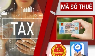 Làm sạch mã số thuế: Nền tảng xây dựng môi trường kinh doanh minh bạch