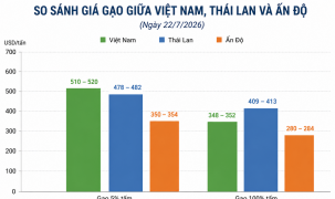 Giá gạo xuất khẩu phục hồi nhưng doanh nghiệp vẫn chịu áp lực cạnh tranh gay gắt