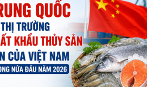 Trung Quốc là thị trường xuất khẩu thủy sản lớn của Việt Nam