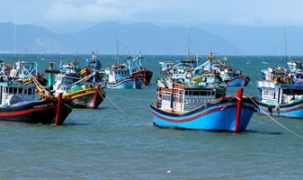 Dồn toàn bộ công sức để gỡ 'thẻ vàng' IUU trong năm 2026