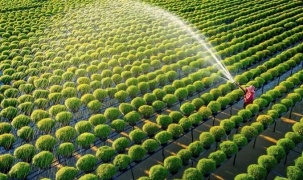 Nông nghiệp số: Nền tảng nâng cao chất lượng và sức cạnh tranh