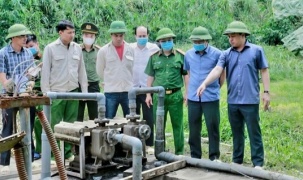 Từ sự cố tại DaBaCo Thanh Hóa: Bài toán “nội hóa” chi phí an toàn môi trường trong chăn nuôi quy mô lớn