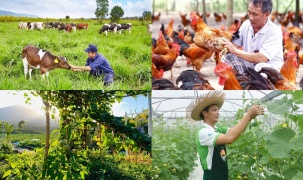 Chính sách mới có hiệu lực từ tháng 8/2026