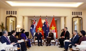 Tổng Bí thư, Chủ tịch nước Tô Lâm hội kiến Toàn quyền Australia