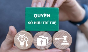 Tăng cường chế tài xử lý các hành vi xâm phạm quyền, vi phạm pháp luật về sở hữu trí tuệ