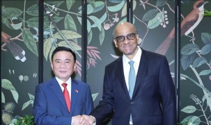 Việt Nam - Singapore thúc đẩy hợp tác AI, bán dẫn, tài chính xanh