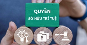 Thực thi quyền sở hữu trí tuệ: Tăng xử lý hình sự, siết vi phạm trên môi trường số