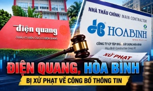 Điện Quang, Xây dựng Hòa Bình bị xử phạt về công bố thông tin