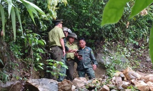 Tăng cường giám sát rừng bằng công nghệ số
