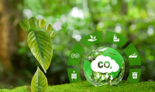 Đã có 1.310 hạn ngạch được giao dịch trên sàn carbon trong nước sau hơn 2 tháng