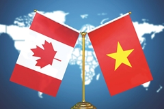 Việt Nam - Canada mở rộng dư địa hợp tác công nghiệp, hướng tới liên kết chuỗi giá trị