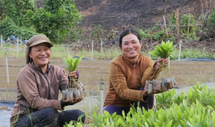 Khoa học công nghệ tạo động lực mới cho xuất khẩu nông sản