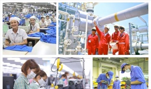 Công khai toàn bộ kết quả xử lý kiến nghị của doanh nghiệp trên Cổng TTĐT Chính phủ