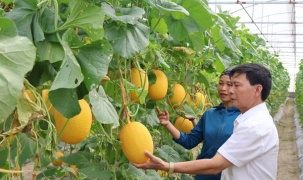 Hà Tĩnh tuyển chọn 7 nhiệm vụ khoa học, công nghệ và đổi mới sáng tạo năm 2026