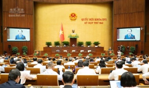 Quốc hội nghe báo cáo 3 dự án luật về đấu giá tài sản, nuôi con nuôi và luật sư
