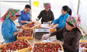 Góc nhìn văn hoá: Quy định 224-QĐ/TW - Khơi thông nguồn lực, kiến tạo văn hóa kinh doanh