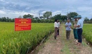 Thúc đẩy xây dựng nông thôn mới gắn với ứng dụng kỹ thuật công nghệ
