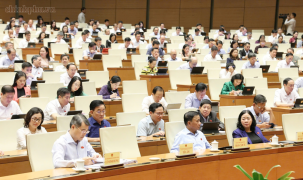Bổ sung chính sách miễn thuế, điều chỉnh thuế sử dụng đất phi nông nghiệp