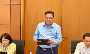 Nâng cao hiệu lực, hiệu quả, đẩy mạnh phân công, phân cấp trong xử lý vi phạm hành chính