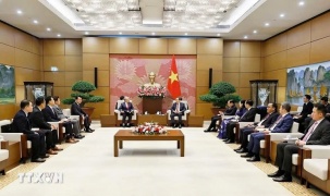 Tăng cường kết nối doanh nghiệp, giao lưu nhân dân Việt Nam-Hàn Quốc