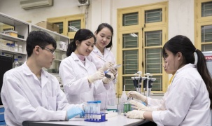 Nhóm nghiên cứu mạnh tại đại học sẽ được đánh giá theo tiêu chí nào?