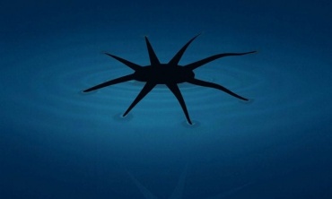 Phát triển robot mềm có thể di chuyển trên mặt nước