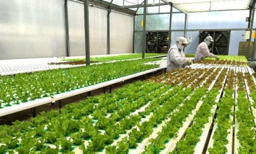 Bình Phước xây dựng nông thôn thông minh