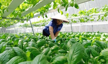 Hà Nội tăng tốc chuyển đổi số: Hoàn thiện cơ chế đánh giá, mở rộng động lực từ thực tiễn