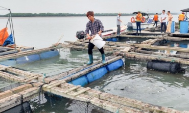 Quảng Ninh: Khoa học công nghệ tạo đột phá trong sản xuất xanh và giảm nghèo bền vững