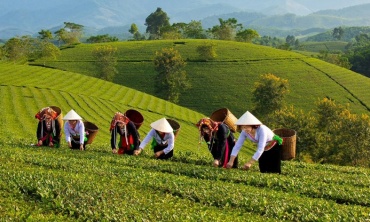 Phú Thọ: Ứng dụng khoa học công nghệ và chuyển đổi số để xây dựng nông thôn mới