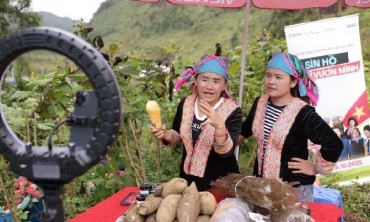 Ứng dụng công nghệ vào sản xuất, quảng bá và tiêu thụ sản phẩm các vùng miền