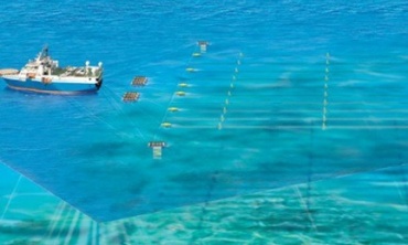 Làm chủ công nghệ chế tạo hệ thống đo địa chấn đáy đại dương tự nổi phục vụ kinh tế biển