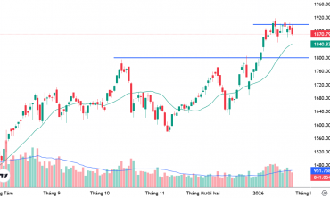 Công ty chứng khoán đánh giá gì về rủi ro điều chỉnh của VN-Index?