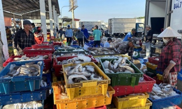 Hoàn thiện khuôn khổ pháp lý, tăng cường quản lý nhà nước, bảo vệ và phát triển bền vững nguồn lợi thủy sản