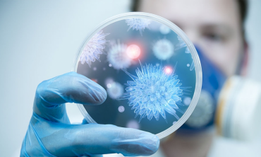 Bộ Y tế khuyến cáo người dân hạn chế đến khu vực có dịch bệnh do virus Nipah