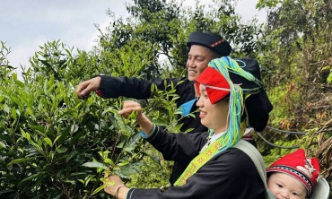 Văn hóa Việt thắp sáng kinh tế xanh